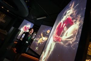 Rugby Hall of Fame Screens by Zhongchen Electronics